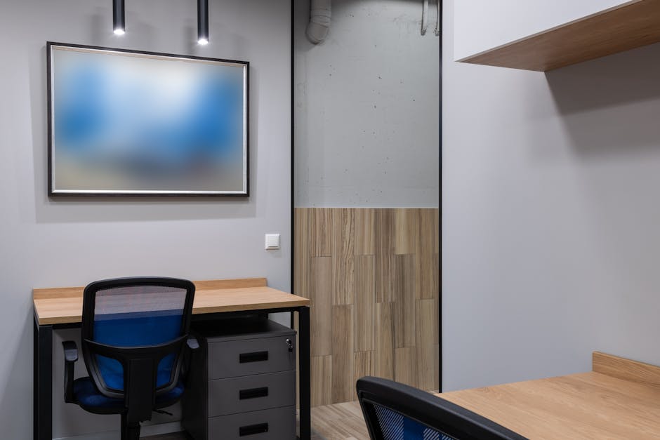Expert painting contractor services